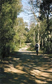 Parco Forestale di Poggio Neri